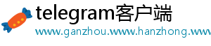 在用户数量方面,Telegram 在用户数量方面,Telegram